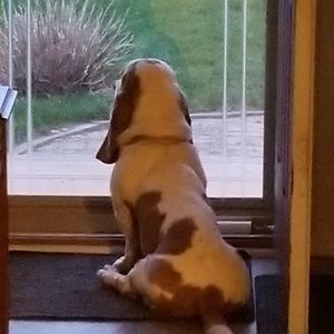 Meet your Posher, Jodi